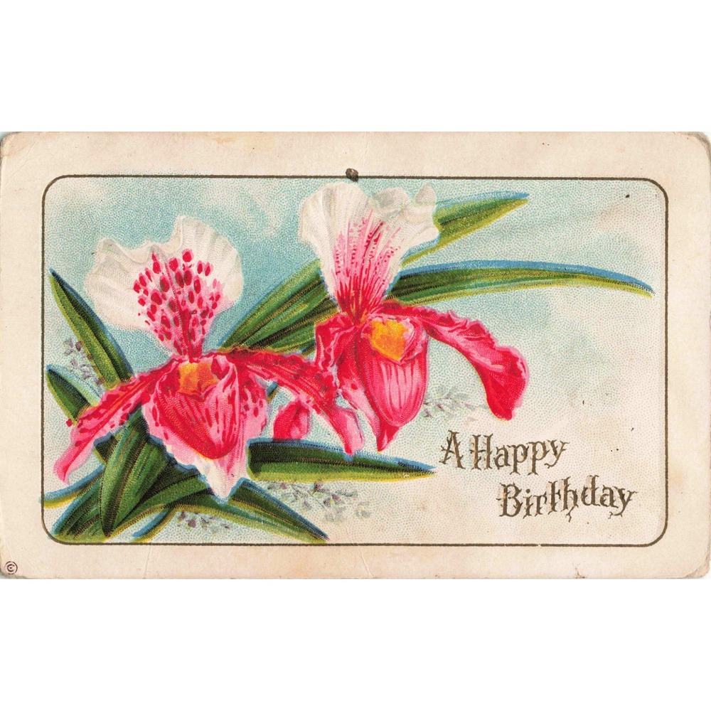 Antique Embossed Birthday Postcard Pink Orchids Series 257 A Divided Back - Picture 1 of 2